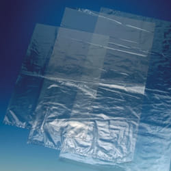 Papstar 19571 sac de stockage alimentaire 20 L 100 pièce(s) Transparent