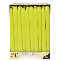 Papstar 81113 bougie en cire Rond Vert, Citron vert 50 pièce(s)
