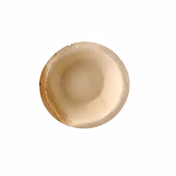 Papstar 87195, Bol, Rond, Feuille de palmier, Naturel, Monochromatique, 25 pièce(s)