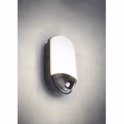 Informations techniques Ampoule incluse : oui Angle de diffusion : 120 ° Angle de détection (horizontal) : 120 ° Classe d'eff ...