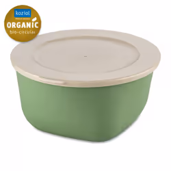 koziol 7871703, Boîte, Autres, 2 L, Vert, 205 mm, 210 mm
