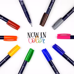 Tombow WS-BH-10P stylo-feutre Fin/moyen Noir, Bleu, Vert, Gris, Orange, Rose, Jaune 10 pièce(s)