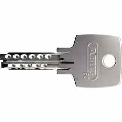 ABUS Cadenas 25/70 with 5 keys (Art.-N 32279)