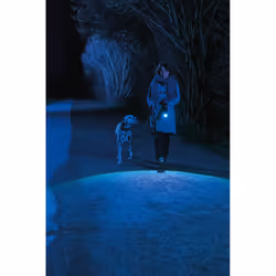 ABUS TL530 torche et lampe de poche Anthracite Lampe torche LED