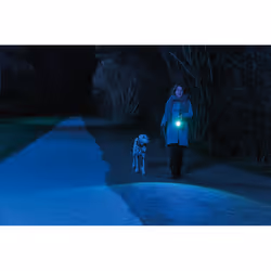 ABUS TL530 torche et lampe de poche Anthracite Lampe torche LED