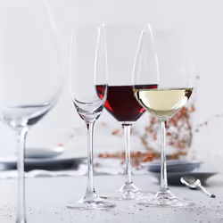 Spiegelau 4720172 Verre à vin 465 ml Verre de vin blanc