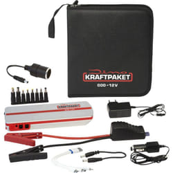 Dino Kraftpaket - Système de démarrage rapide 136102 Courant d'aide au démarrage (12 V)=300 a