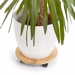 Zeller Present 13555 support de jardinière Support de pots