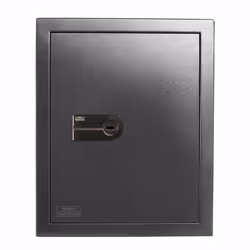 BURG-WÄCHTER WT 616 K, Coffre-fort mural, Fer brossé, Clé, 45,7 L, Acier inoxydable, Mur