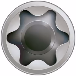 SPAX Vis de terrasse, 6 x 100 mm, 100 unités, Filetage de fixation, Tête cylindrique, T-STAR plus T25, Pointe CUT, Acier inox ...