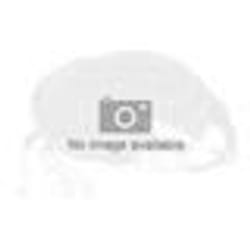 OEHLBACH Banana Solution 5 connecteur de fils Or