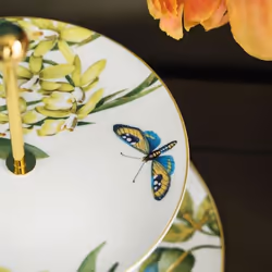 Villeroy & Boch Amazonia Rond