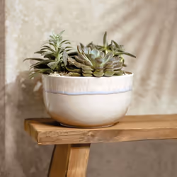 Villeroy & Boch 1951723170 Bol décoratif Beige Porcelaine