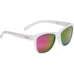 Alpina Sports 8571310 lunettes de soleil