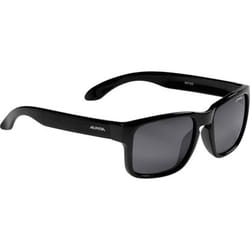 Alpina Sports 8572331 lunettes de soleil Carré