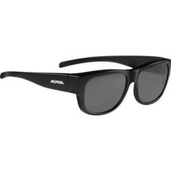 Alpina Sports OVERVIEW II P lunettes de soleil Carré