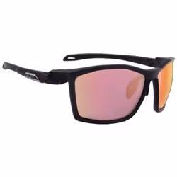 Alpina Sports Twist Five Qvm+, Adulte, Unisexe, Wayfarer, Cerclé, Noir, Noir