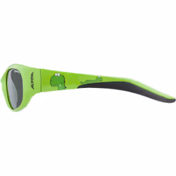 Alpina Sports Flexxy Kids Lunettes Multi-sport Garçon/Fille Cerclé Vert
