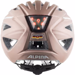 Alpina Sports HAGA Marron