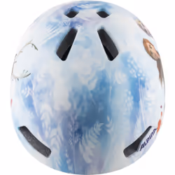 Alpina Sports HACKNEY Multicolore
