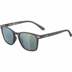 Alpina Sports YEFE, Lunettes Multi-sport, Unisexe, Cerclé, Gris, Plastique, Gris