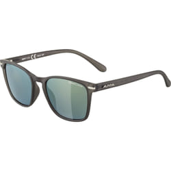 Alpina Sports YEFE Lunettes Multi-sport Unisexe Cerclé Gris
