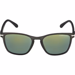 Alpina Sports YEFE Lunettes Multi-sport Unisexe Cerclé Gris