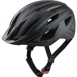 Alpina Sports DELFT MIPS Noir