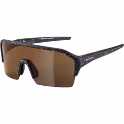 Alpina Sports RAM HR HM+, Lunettes de cyclisme, Demi-contour, Noir, Plastique, Bicyclette