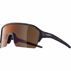 Alpina Sports RAM HR HM+ Lunettes de cyclisme Demi-contour Noir