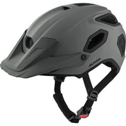 Alpina Sports CROOT MIPS Gris