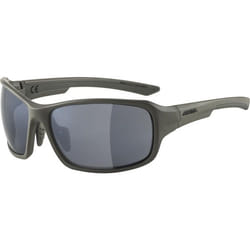 Alpina Sports LYRON Lunettes Multi-sport Cerclé Gris