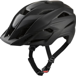Alpina Sports STAN MIPS/TOCSEN Noir