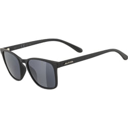 Alpina Sports YEFE Lunettes Multi-sport Unisexe Cerclé Noir