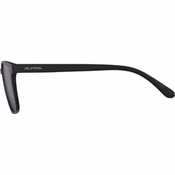 Alpina Sports YEFE Lunettes Multi-sport Unisexe Cerclé Noir