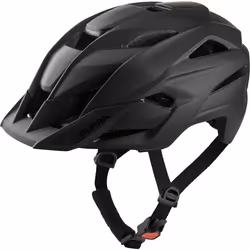 Alpina Sports STAN MIPS/TOCSEN, Demi-casque, Construction par moulage, Mat