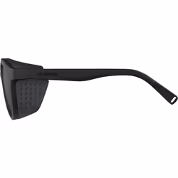 Alpina Sports GLACE Lunettes Multi-sport Unisexe Cerclé Noir