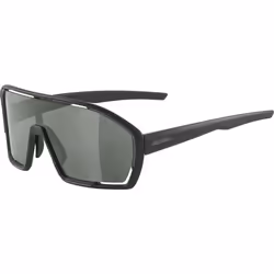 Alpina Sports BONFIRE Q-LITE, Lunettes Multi-sport, Unisexe, Cerclé, Noir, Plastique, Noir