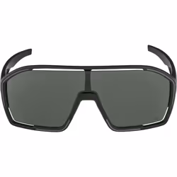 Alpina Sports BONFIRE Q-LITE Lunettes Multi-sport Unisexe Cerclé Noir
