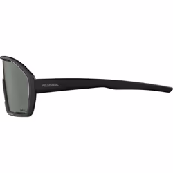 Alpina Sports BONFIRE Q-LITE Lunettes Multi-sport Unisexe Cerclé Noir