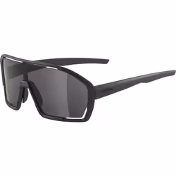 Alpina Sports BONFIRE, Lunettes de course, Cerclé, Noir, Plastique, Noir, Plastique