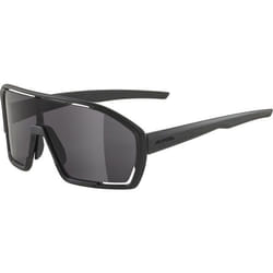 Alpina Sports BONFIRE Lunettes de course Cerclé Noir