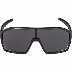 Alpina Sports BONFIRE Lunettes de course Cerclé Noir