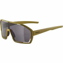 Alpina Sports BONFIRE, Lunettes de course, Cerclé, Olive, Plastique, Olive, Plastique