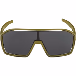 Alpina Sports BONFIRE Lunettes de course Cerclé Olive