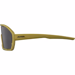 Alpina Sports BONFIRE Lunettes de course Cerclé Olive