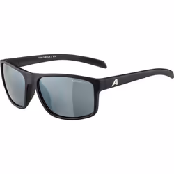 Alpina NACAN I, Adulte, Unisexe, Rectangulaire, Rectangle, Cerclé, Vitrocéramique