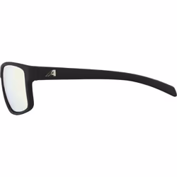 Alpina NACAN I lunettes de soleil Rectangulaire Rectangle