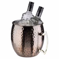 APS-Germany 93330 glacière Bouteille en verre