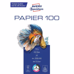 Avery 2566-250 papier jet d'encre A4 (210x297 mm) 250 feuilles Blanc